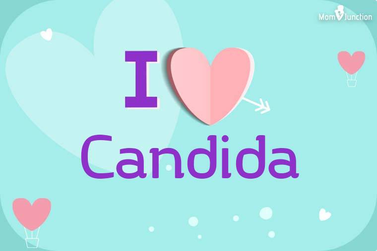 I Love Candida Wallpaper
