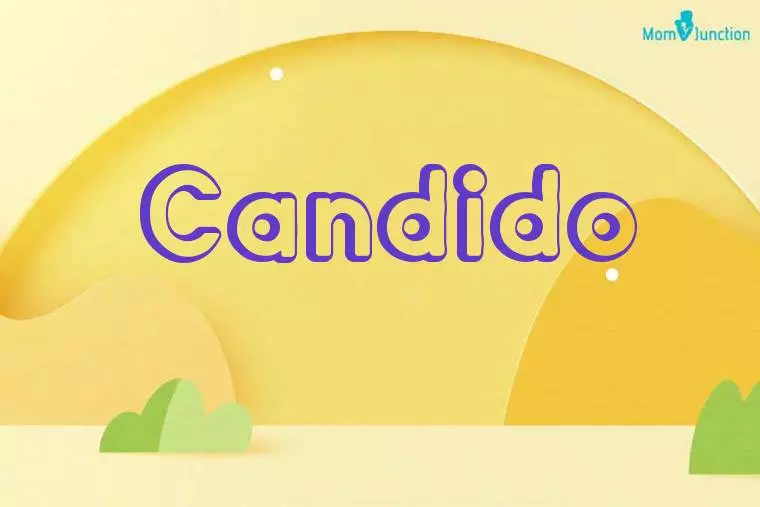 Candido 3D Wallpaper