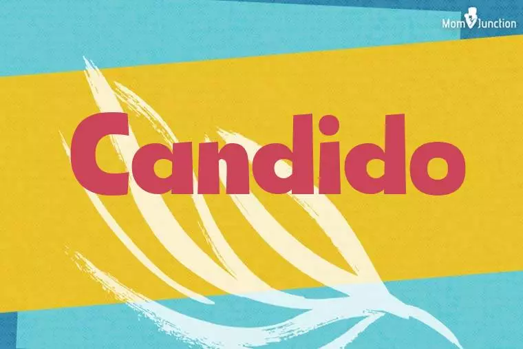 Candido Stylish Wallpaper