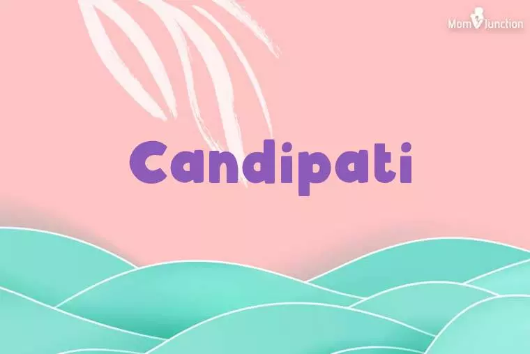 Candipati Stylish Wallpaper