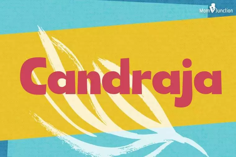 Candraja Stylish Wallpaper