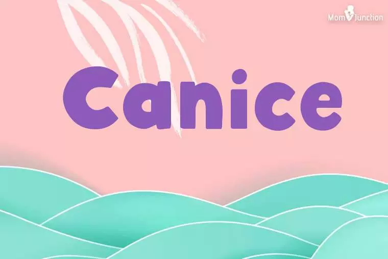 Canice Stylish Wallpaper