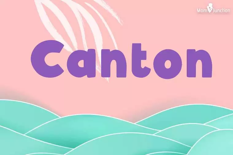 Canton Stylish Wallpaper