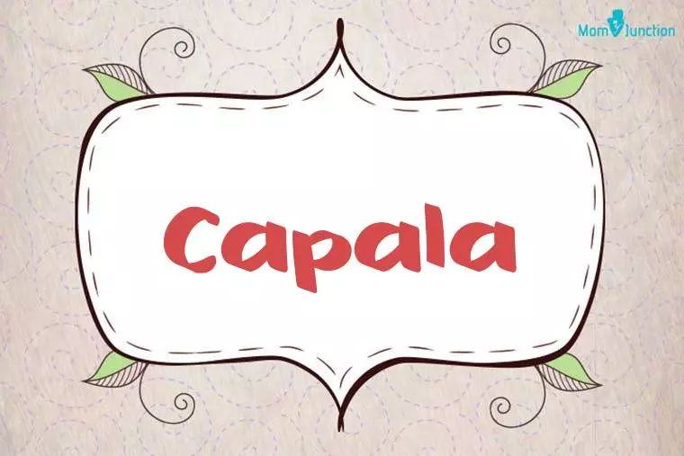 Capala Stylish Wallpaper