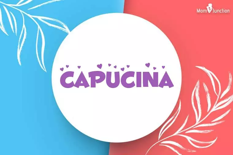 Capucina Stylish Wallpaper