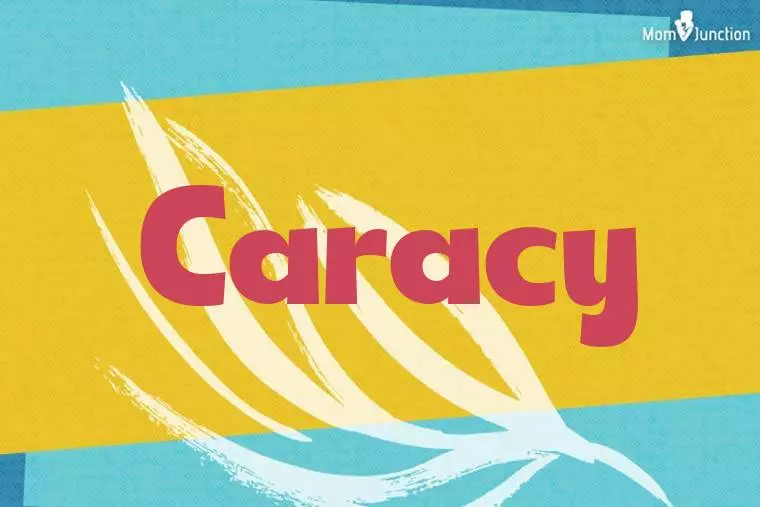 Caracy Stylish Wallpaper