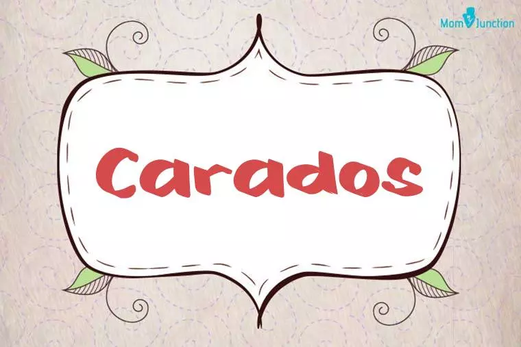 Carados Stylish Wallpaper