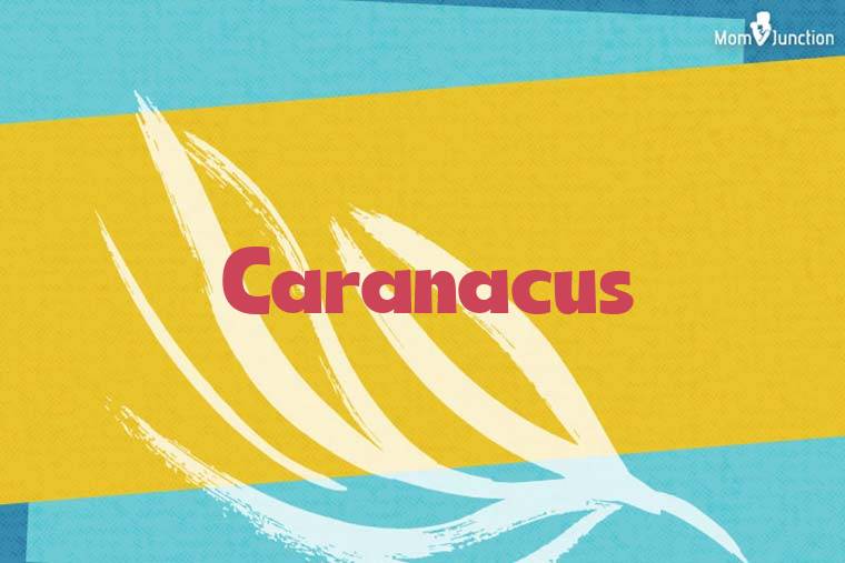 Caranacus Stylish Wallpaper