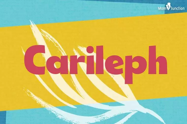 Carileph Stylish Wallpaper