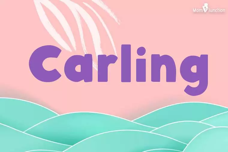 Carling Stylish Wallpaper