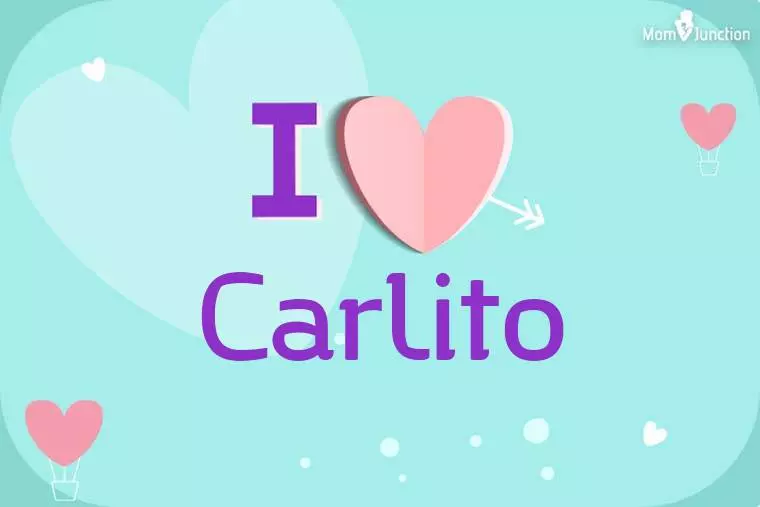 I Love Carlito Wallpaper