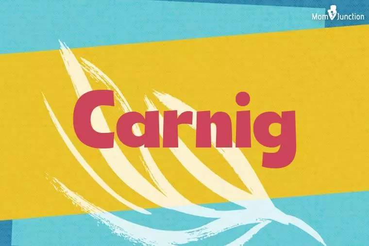 Carnig Stylish Wallpaper