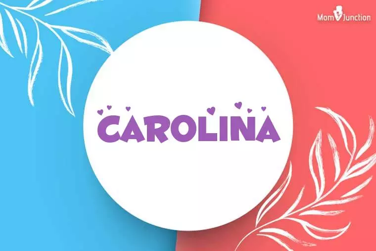 Carolina Stylish Wallpaper