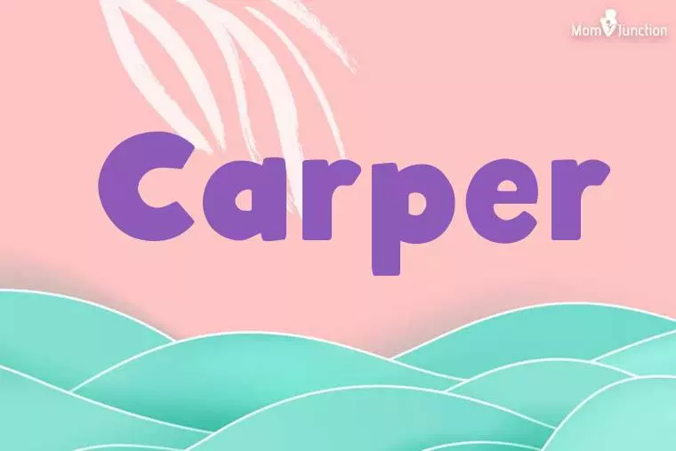 Carper Stylish Wallpaper