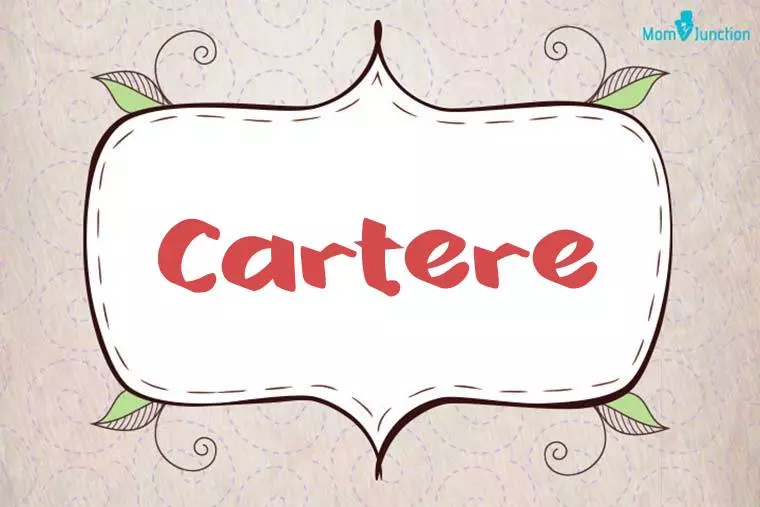 Cartere Stylish Wallpaper