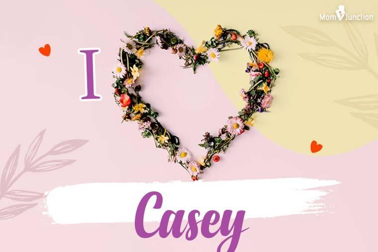 Casey Name, Meaning, Origin, History, And Popularity