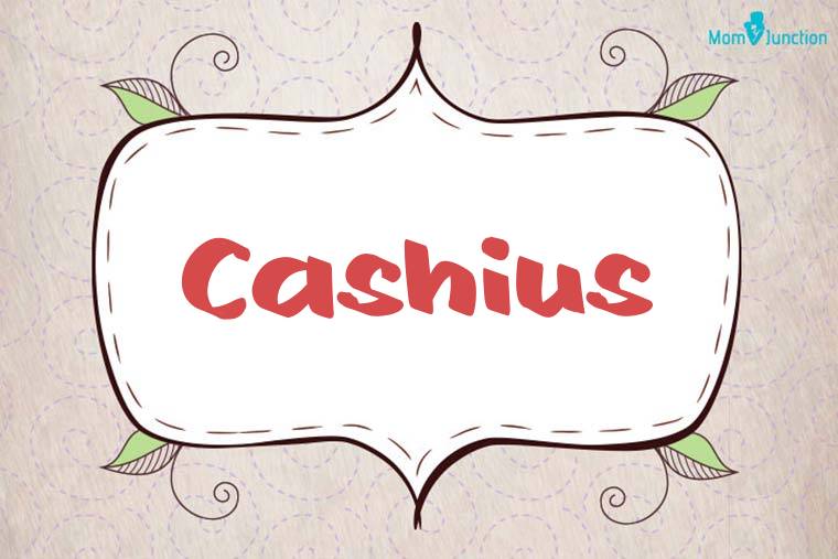 Cashius Stylish Wallpaper