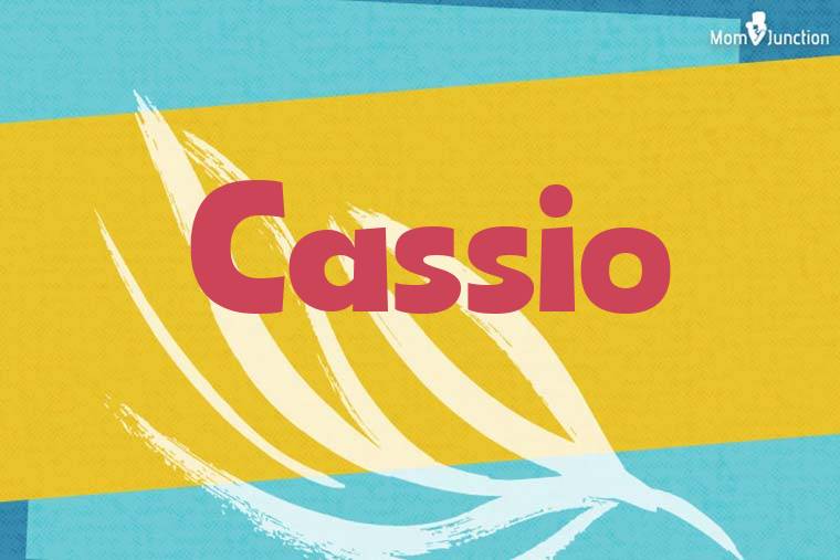 Cassio Stylish Wallpaper