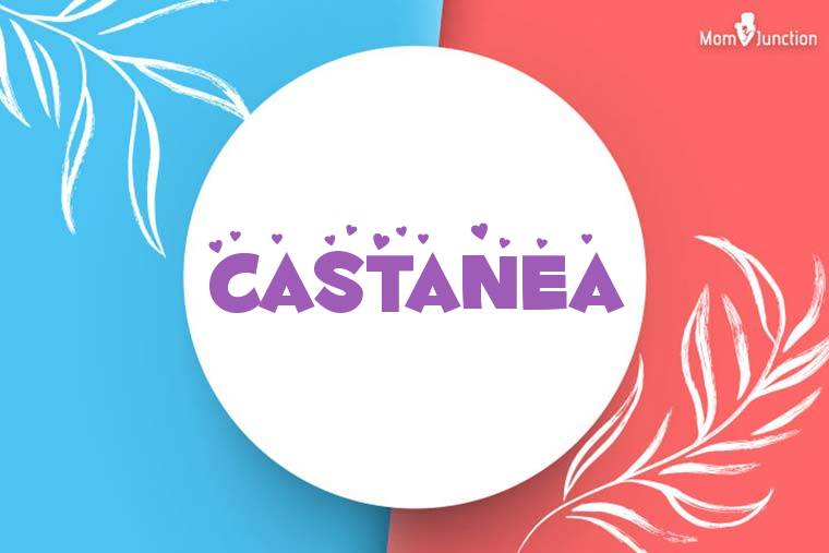 Castanea Stylish Wallpaper