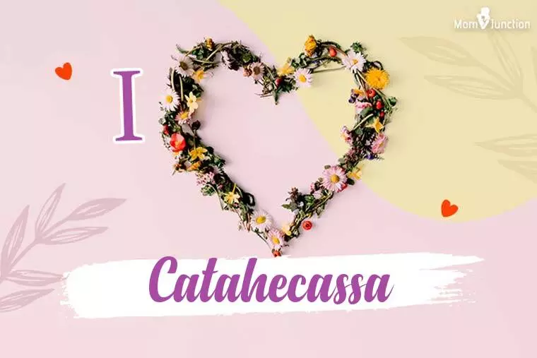 I Love Catahecassa Wallpaper