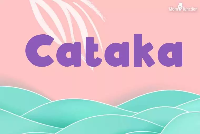 Cataka Stylish Wallpaper