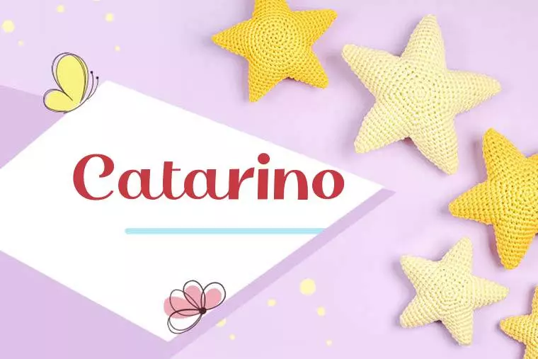 Catarino Stylish Wallpaper