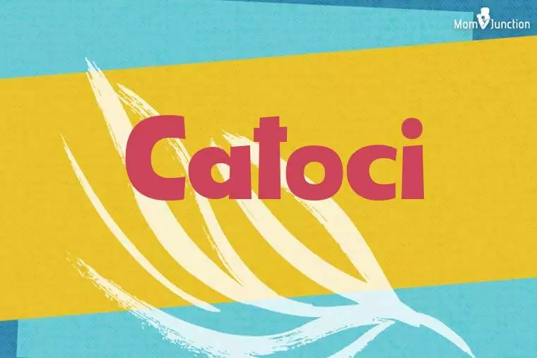 Catoci Stylish Wallpaper