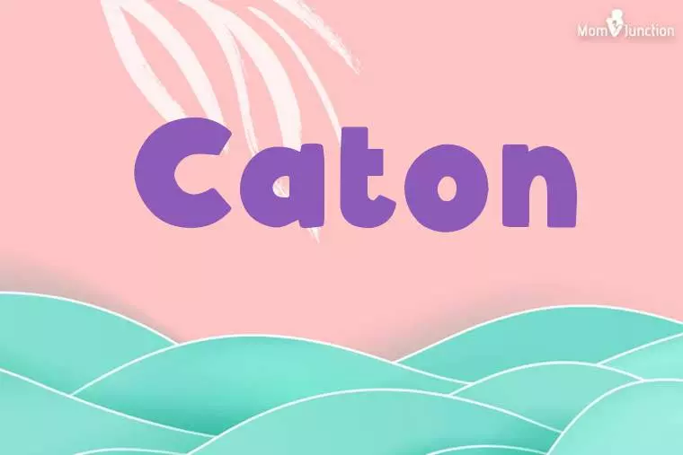 Caton Stylish Wallpaper