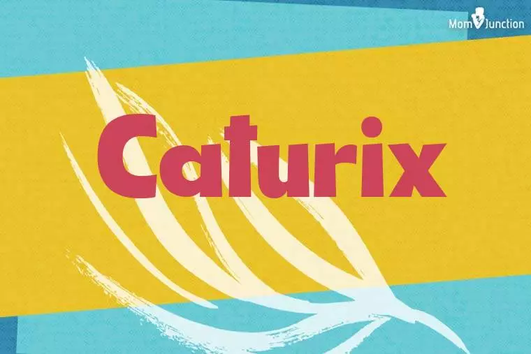 Caturix Stylish Wallpaper