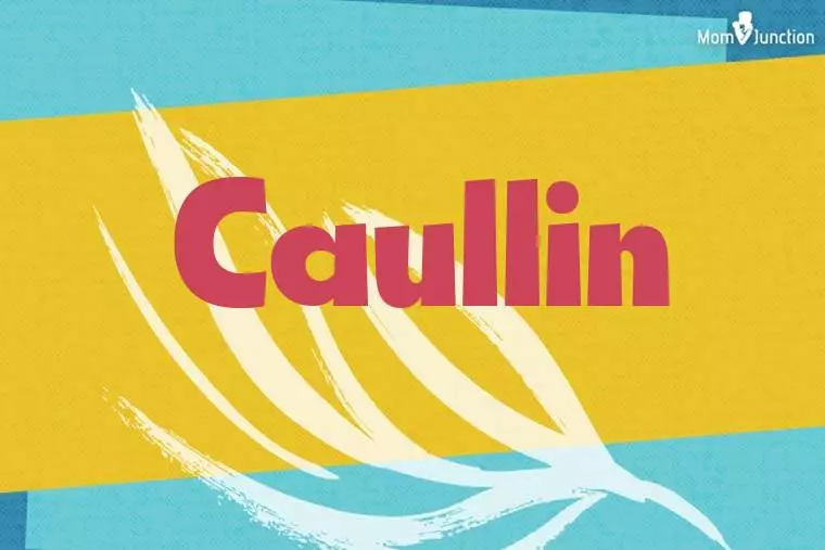 Caullin Stylish Wallpaper