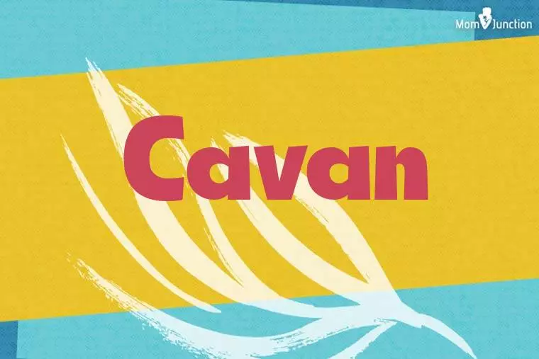 Cavan Stylish Wallpaper