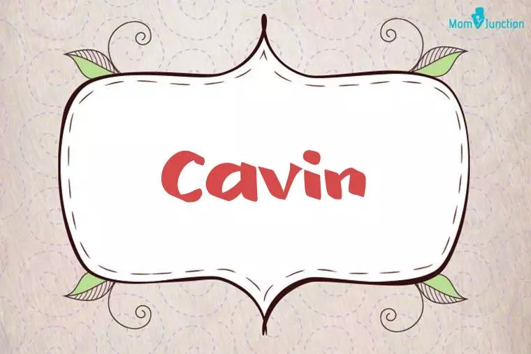 Cavin Stylish Wallpaper