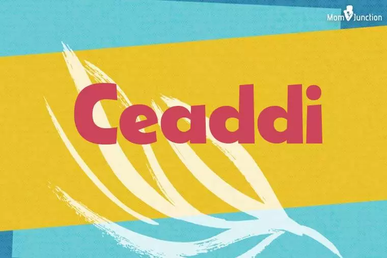 Ceaddi Stylish Wallpaper