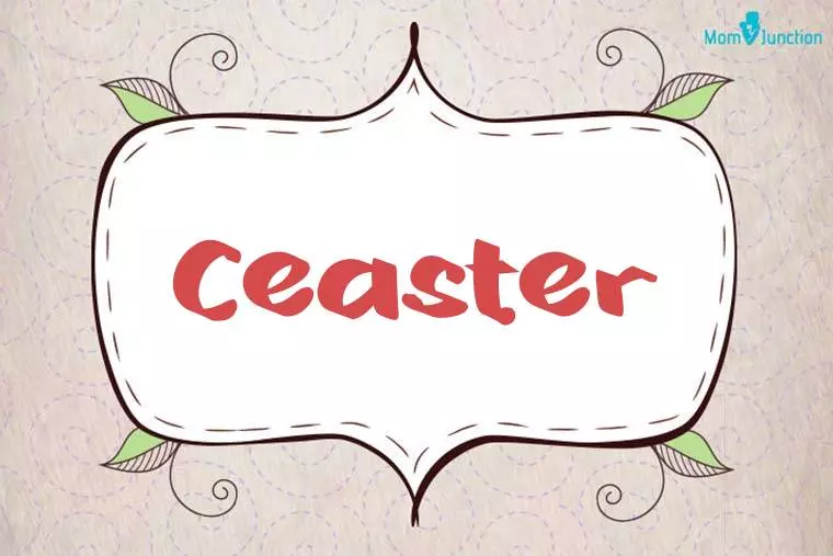 Ceaster Stylish Wallpaper