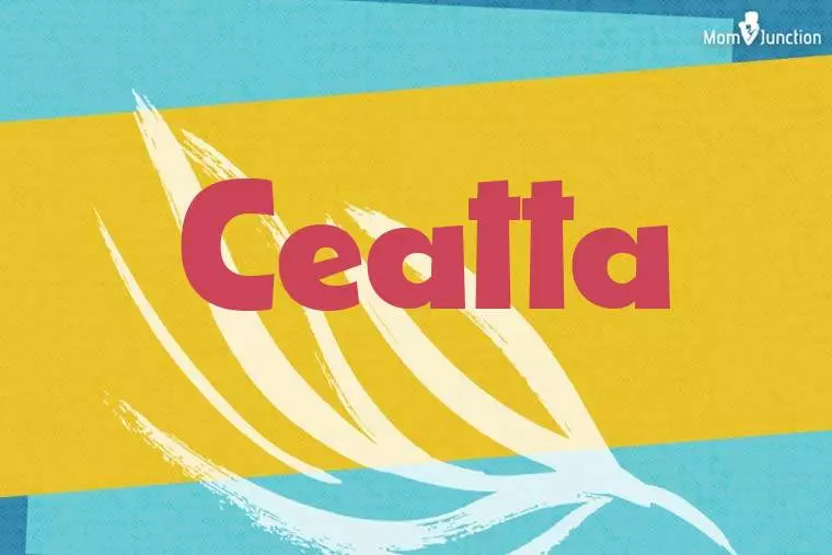 Ceatta Stylish Wallpaper