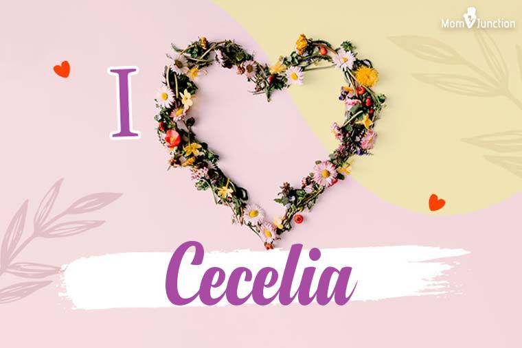 I Love Cecelia Wallpaper