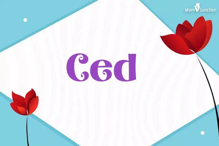 Ced 3D Wallpaper