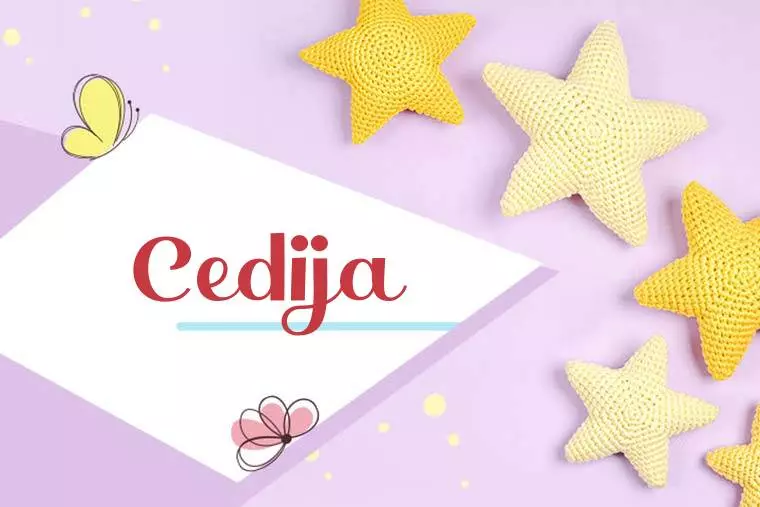 Cedija Stylish Wallpaper