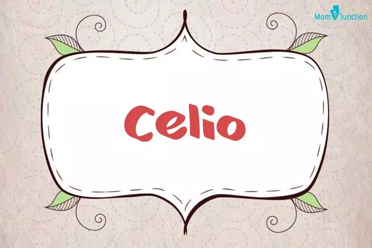 Celio Stylish Wallpaper