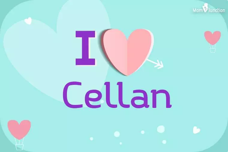 I Love Cellan Wallpaper