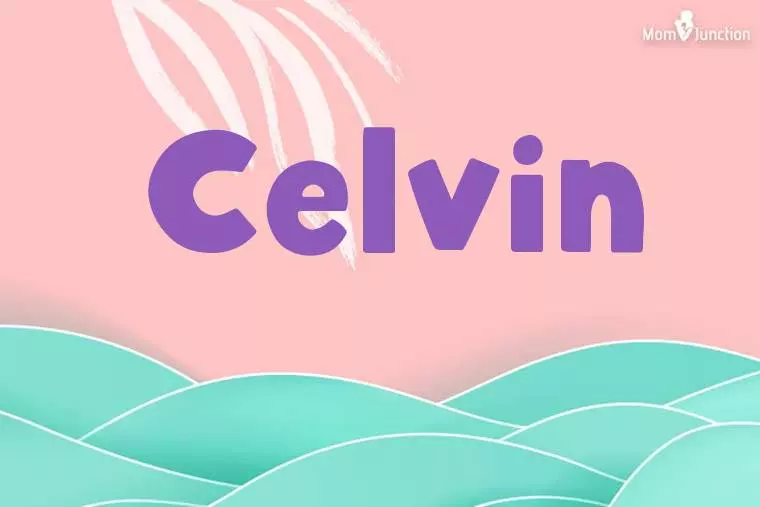 Celvin Stylish Wallpaper