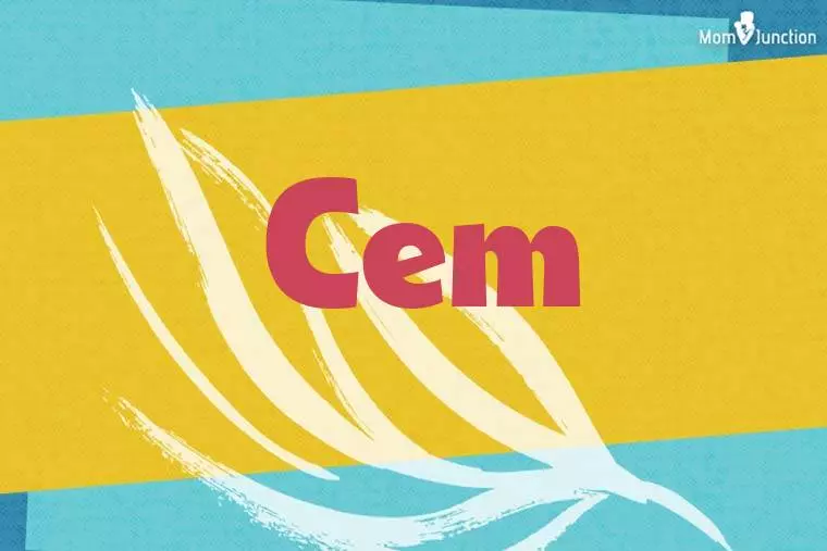 Cem Stylish Wallpaper