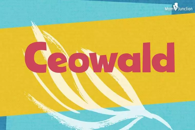 Ceowald Stylish Wallpaper