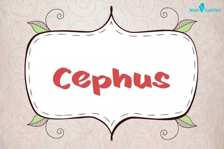 Cephus Stylish Wallpaper