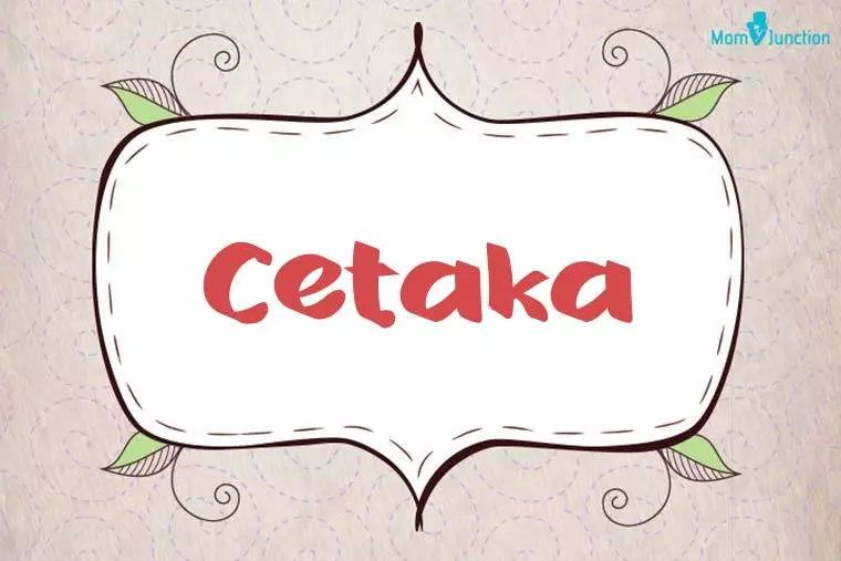 Cetaka Stylish Wallpaper