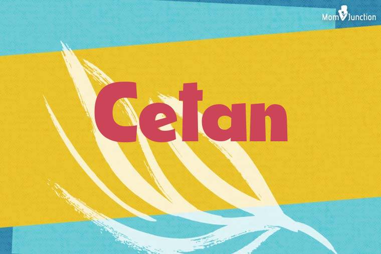 Cetan Stylish Wallpaper