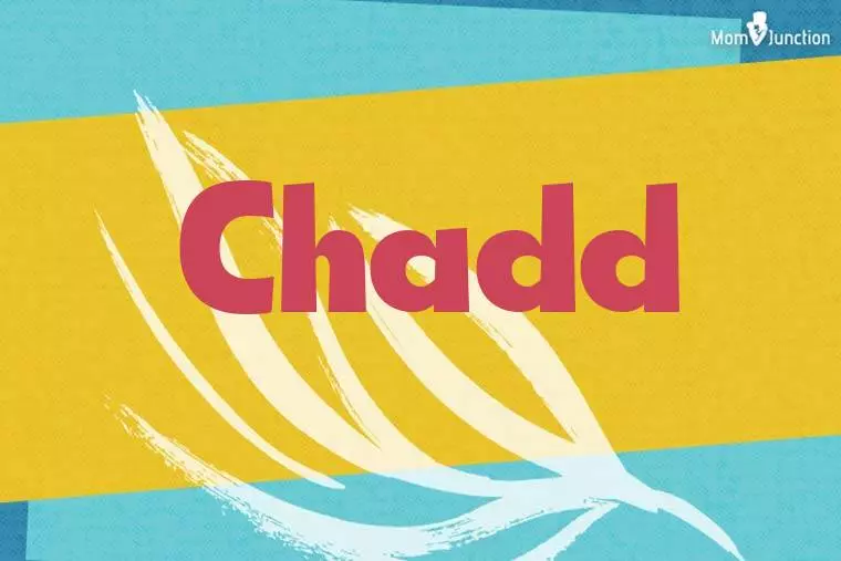 Chadd Stylish Wallpaper