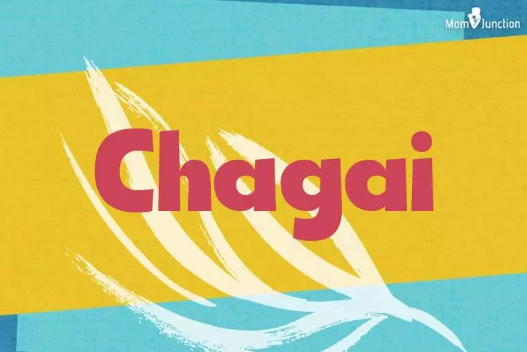 Chagai Stylish Wallpaper