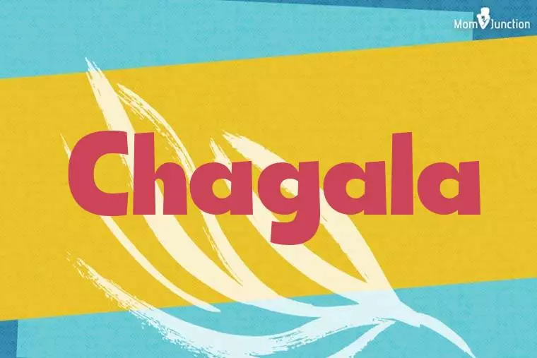 Chagala Stylish Wallpaper