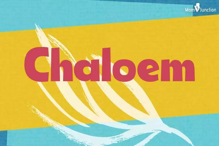 Chaloem Stylish Wallpaper